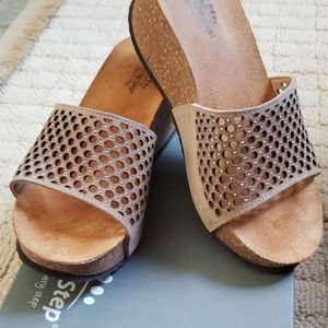 Spring step wedge
